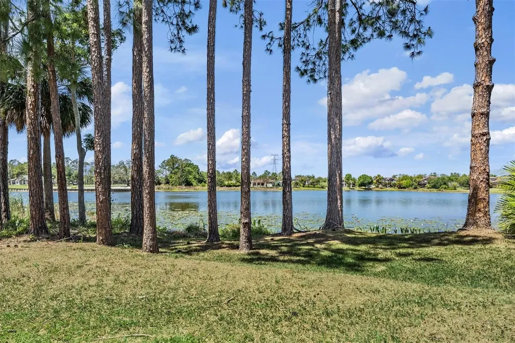 9134 Tillinghast Drive Tampa FL 33626