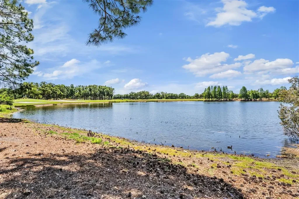 9134 Tillinghast Drive Tampa FL 33626
