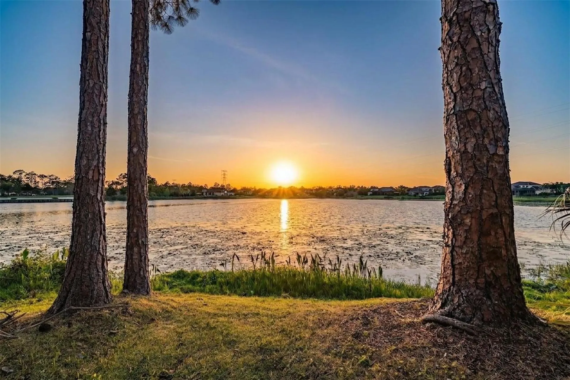 9134 Tillinghast Drive Tampa FL 33626