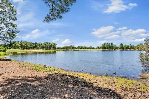 9134 Tillinghast Drive Tampa FL 33626