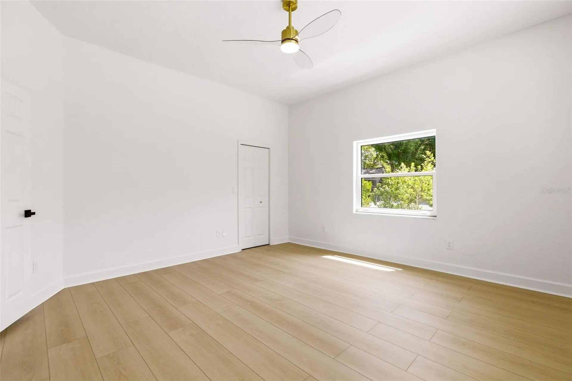 606 Tomoka Drive Palm Harbor FL 34683