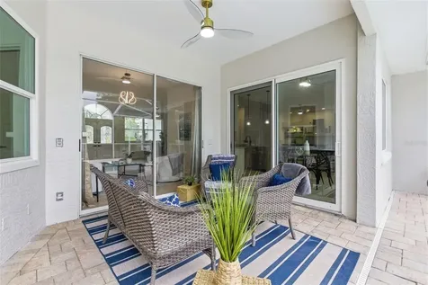 606 Tomoka Drive Palm Harbor FL 34683