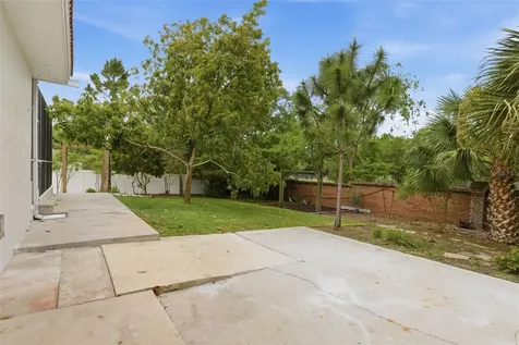 606 Tomoka Drive Palm Harbor FL 34683