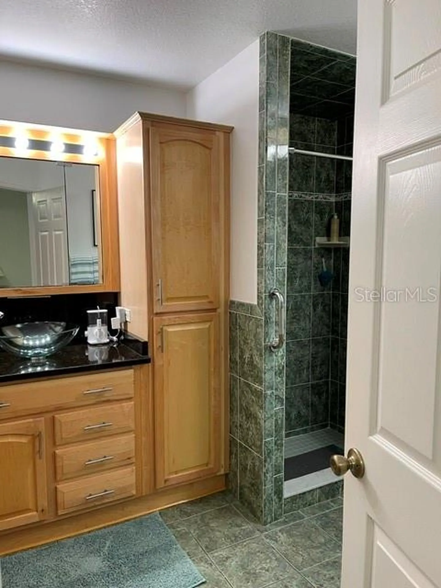 10985 SW 48th Terrace Ocala FL 34476