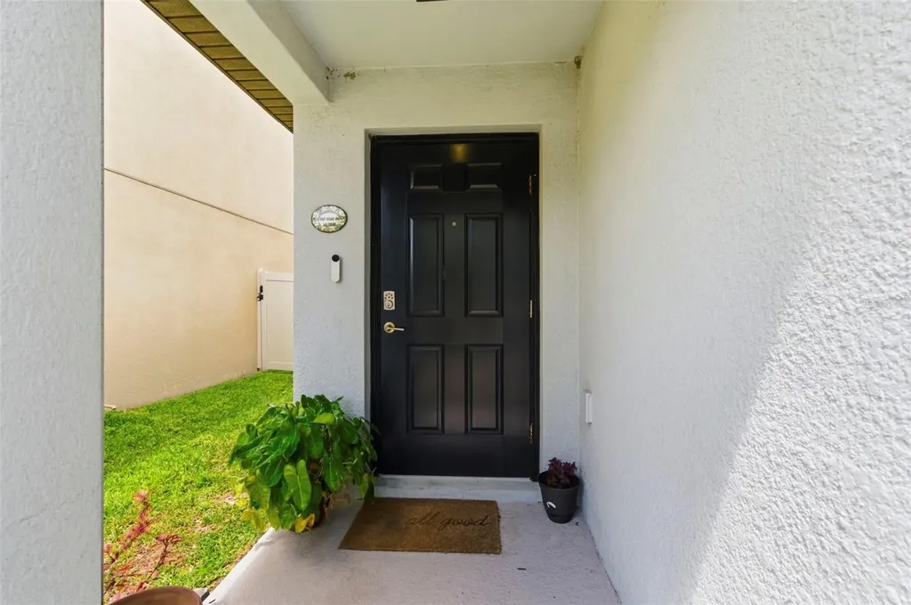 12611 Lemon Pepper Drive Riverview FL 33578