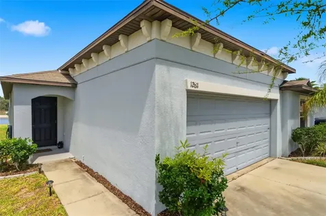 12611 Lemon Pepper Drive Riverview FL 33578