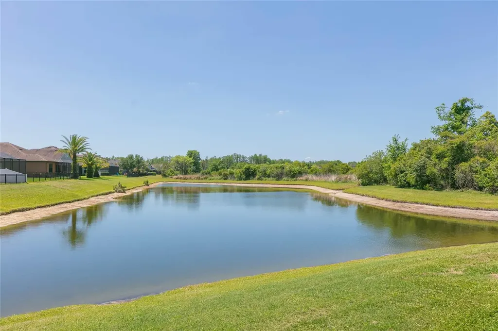 5397 Angelonia Terrace Land O Lakes FL 34639