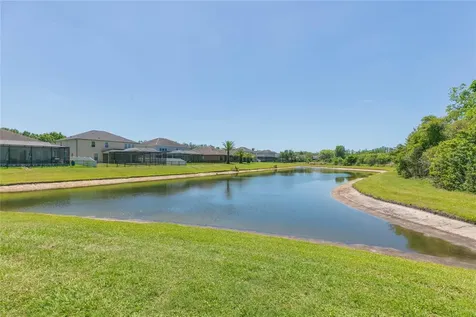 5397 Angelonia Terrace Land O Lakes FL 34639