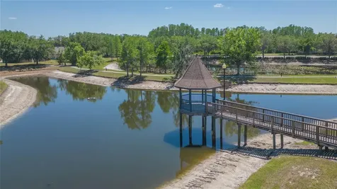 5397 Angelonia Terrace Land O Lakes FL 34639