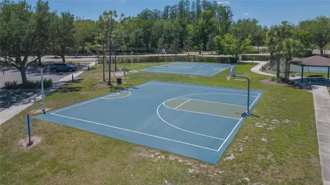 5397 Angelonia Terrace Land O Lakes FL 34639