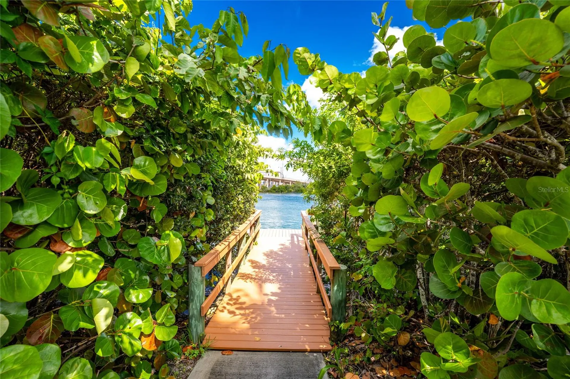 167 Tampa Avenue E Venice FL 34285