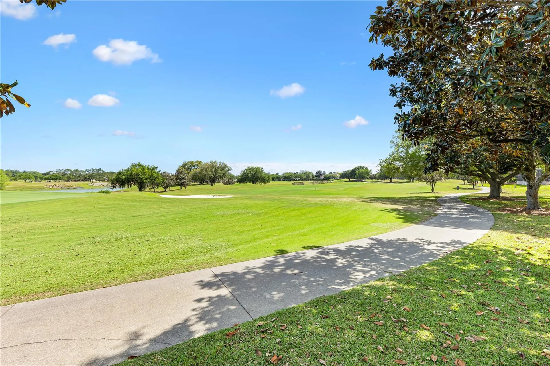 16967 SE 84th Colerain Circle The Villages FL 32162