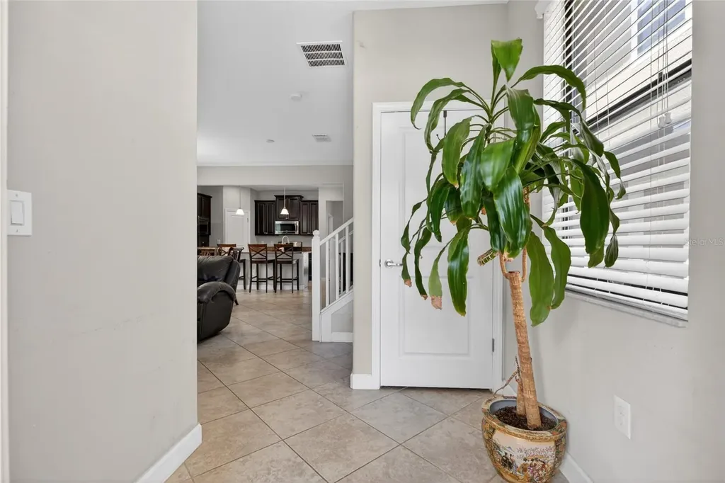 28622 Tranquil Lake Circle Wesley Chapel FL 33543
