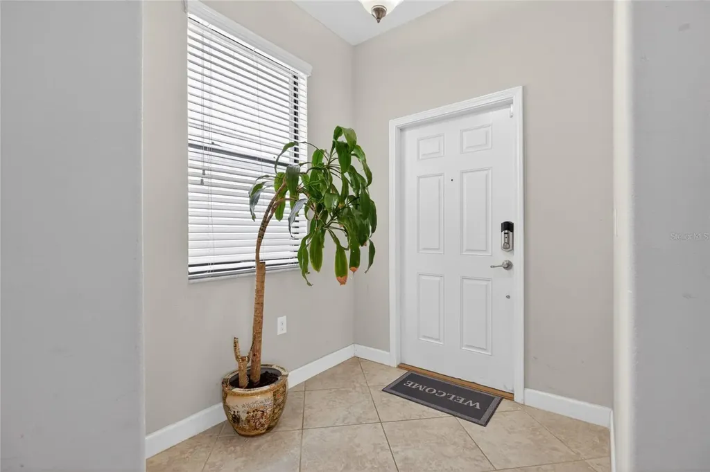 28622 Tranquil Lake Circle Wesley Chapel FL 33543
