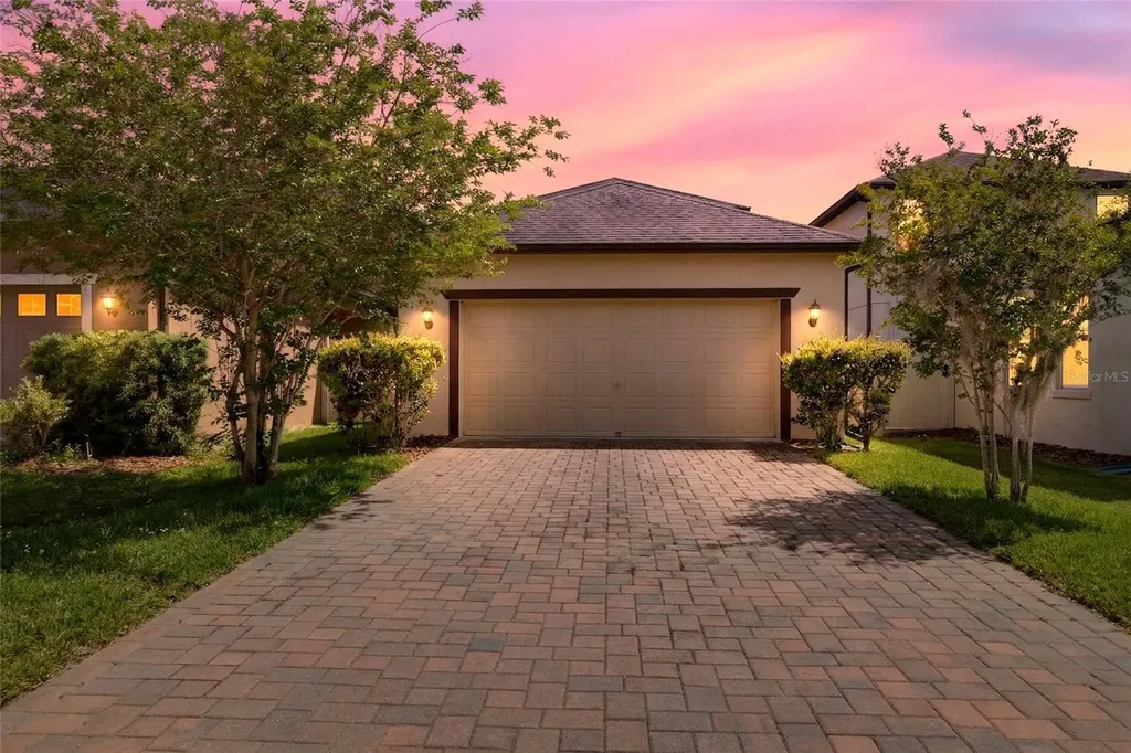 28622 Tranquil Lake Circle Wesley Chapel FL 33543