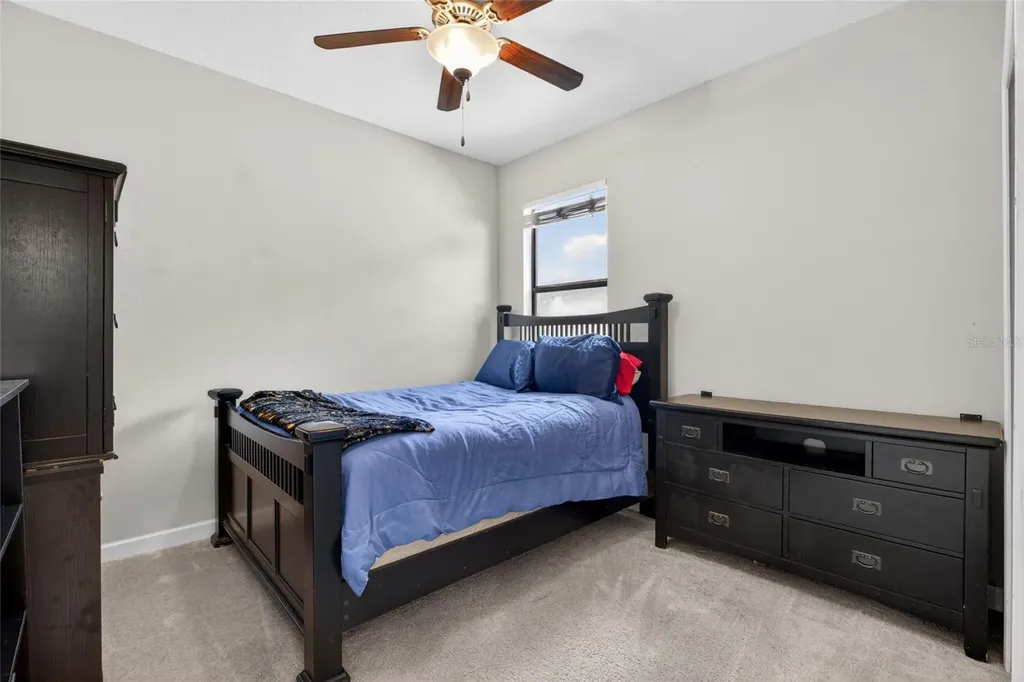 28622 Tranquil Lake Circle Wesley Chapel FL 33543