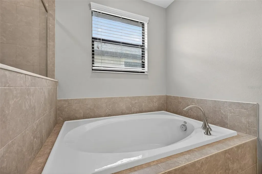 28622 Tranquil Lake Circle Wesley Chapel FL 33543