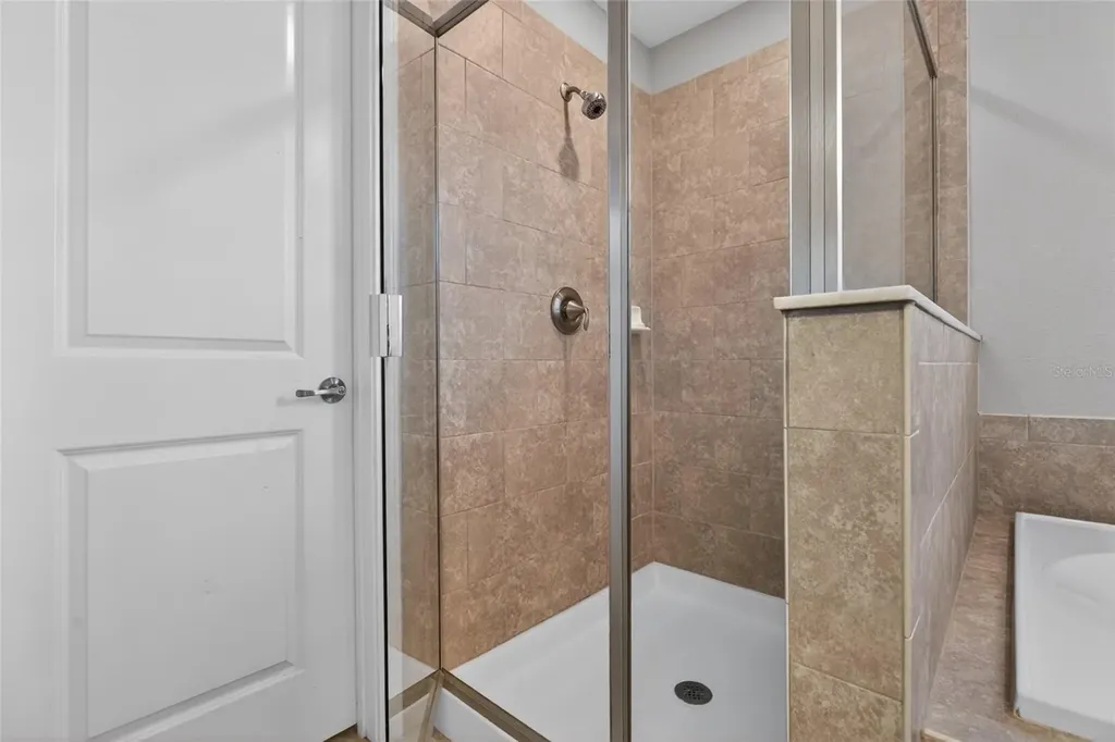 28622 Tranquil Lake Circle Wesley Chapel FL 33543