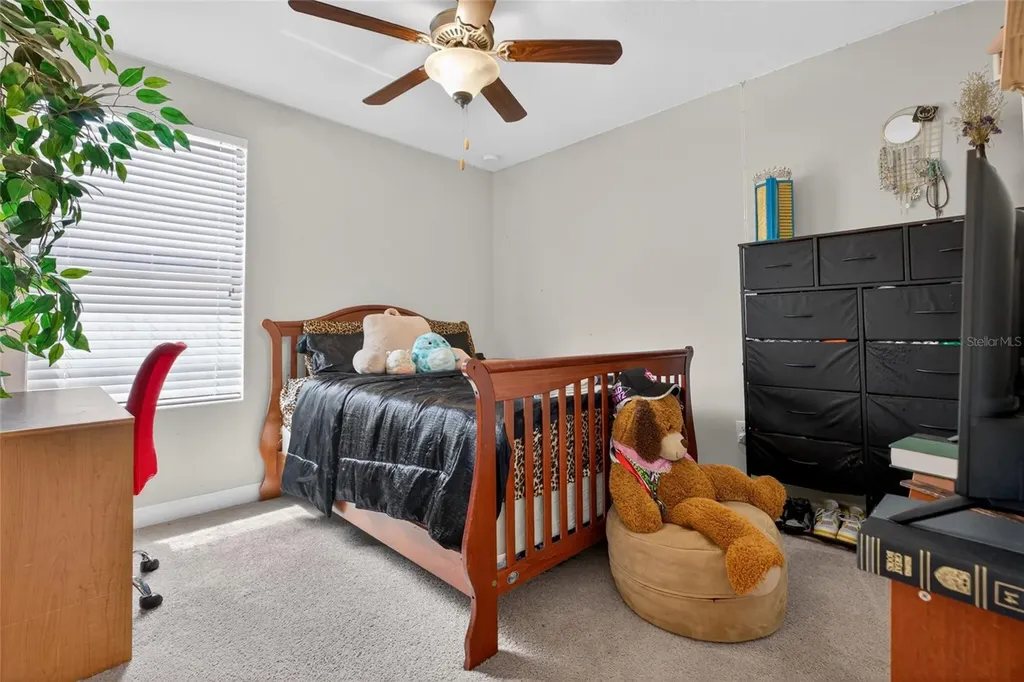 28622 Tranquil Lake Circle Wesley Chapel FL 33543