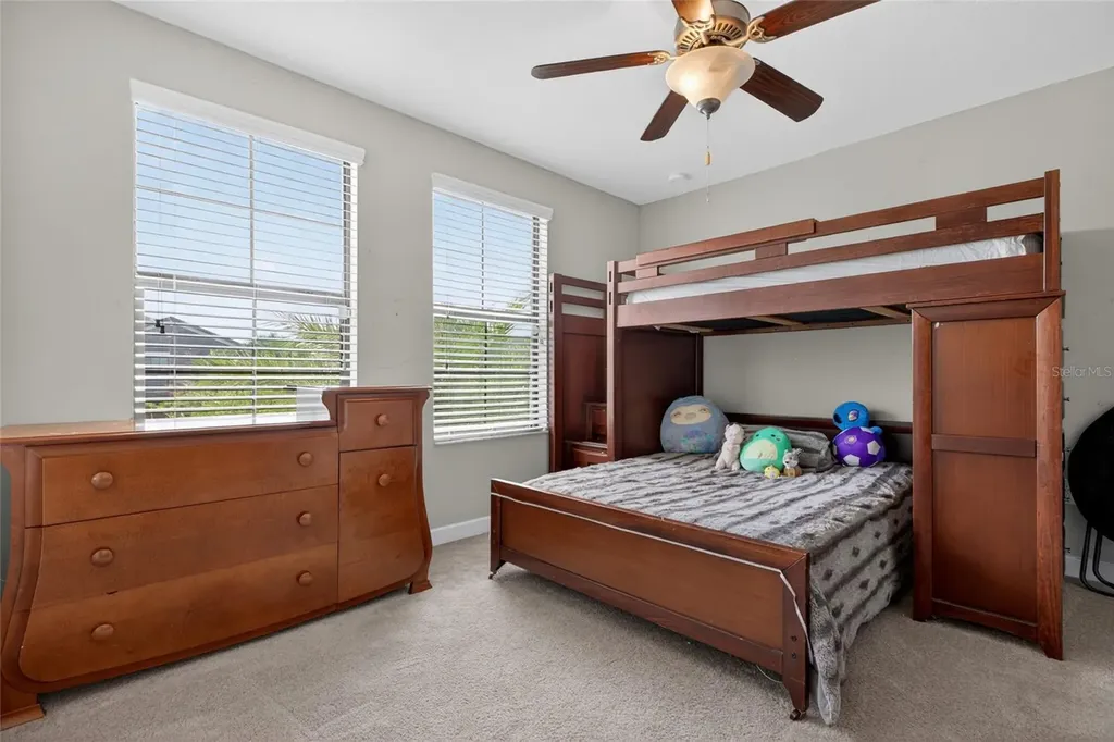 28622 Tranquil Lake Circle Wesley Chapel FL 33543