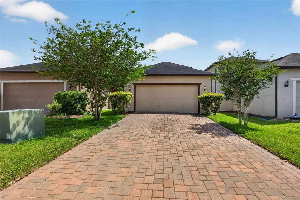 28622 Tranquil Lake Circle Wesley Chapel FL 33543