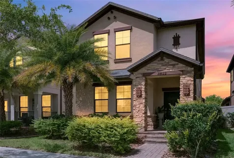 28622 Tranquil Lake Circle Wesley Chapel FL 33543