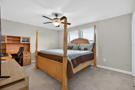 28622 Tranquil Lake Circle Wesley Chapel FL 33543