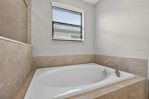 28622 Tranquil Lake Circle Wesley Chapel FL 33543