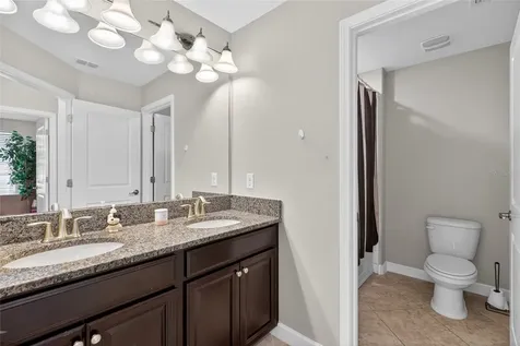 28622 Tranquil Lake Circle Wesley Chapel FL 33543