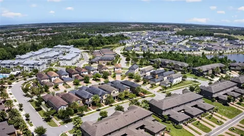 28622 Tranquil Lake Circle Wesley Chapel FL 33543