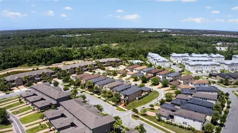 28622 Tranquil Lake Circle Wesley Chapel FL 33543