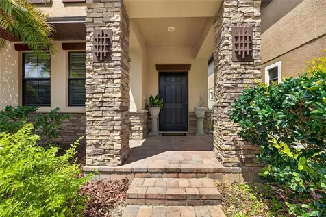 28622 Tranquil Lake Circle Wesley Chapel FL 33543