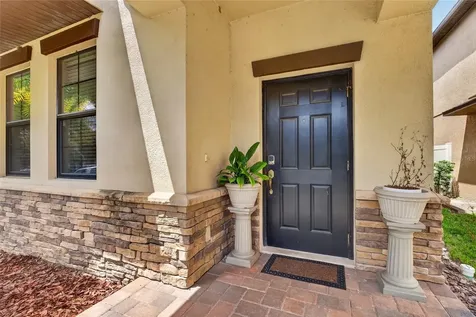 28622 Tranquil Lake Circle Wesley Chapel FL 33543