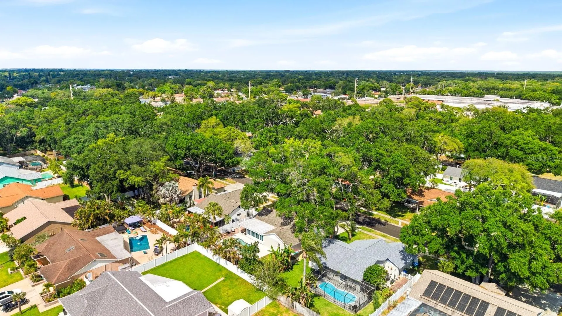 221 Arbor Drive W Palm Harbor FL 34683