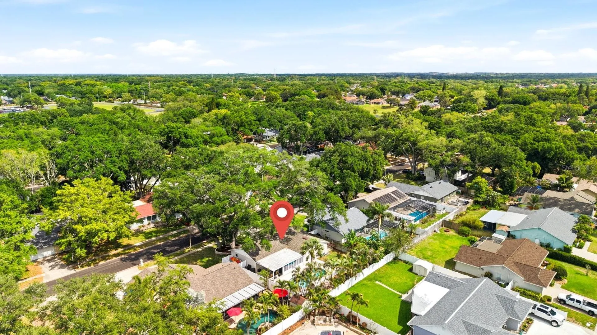 221 Arbor Drive W Palm Harbor FL 34683