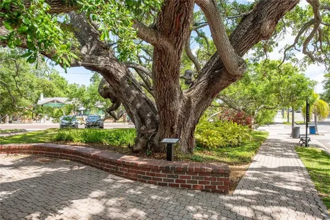 791 Weathersfield Drive Dunedin FL 34698