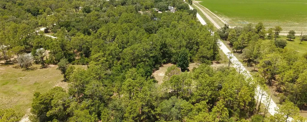 14050 SE 20 Street Morriston FL 32668