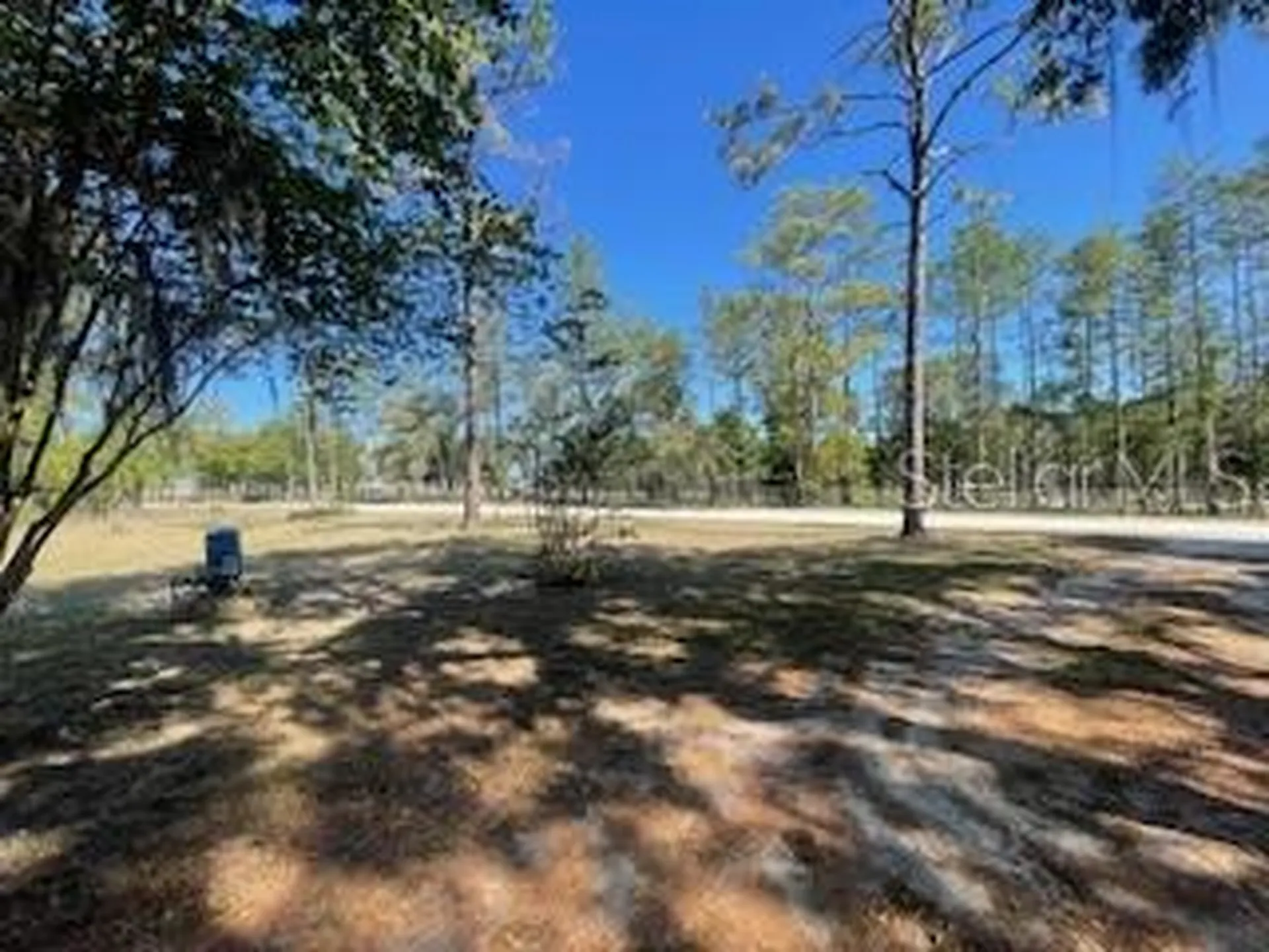14050 SE 20 Street Morriston FL 32668