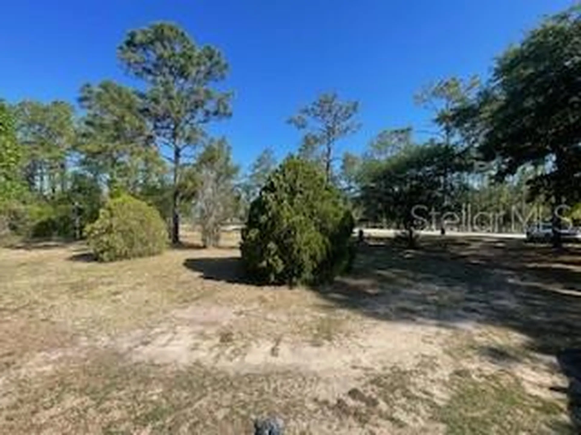 14050 SE 20 Street Morriston FL 32668