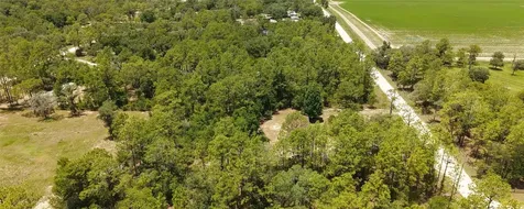 14050 SE 20 Street Morriston FL 32668