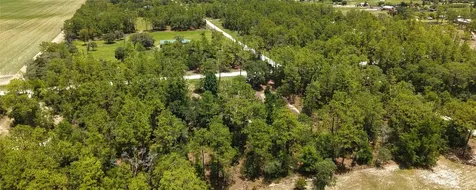 14050 SE 20 Street Morriston FL 32668