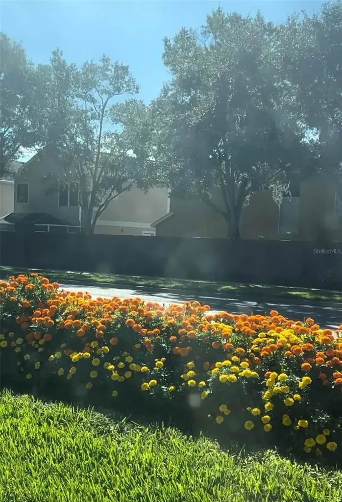 10508 Barnstable Court Tampa FL 33626