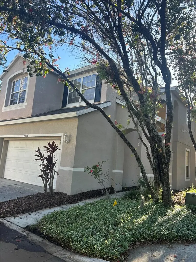 10508 Barnstable Court Tampa FL 33626
