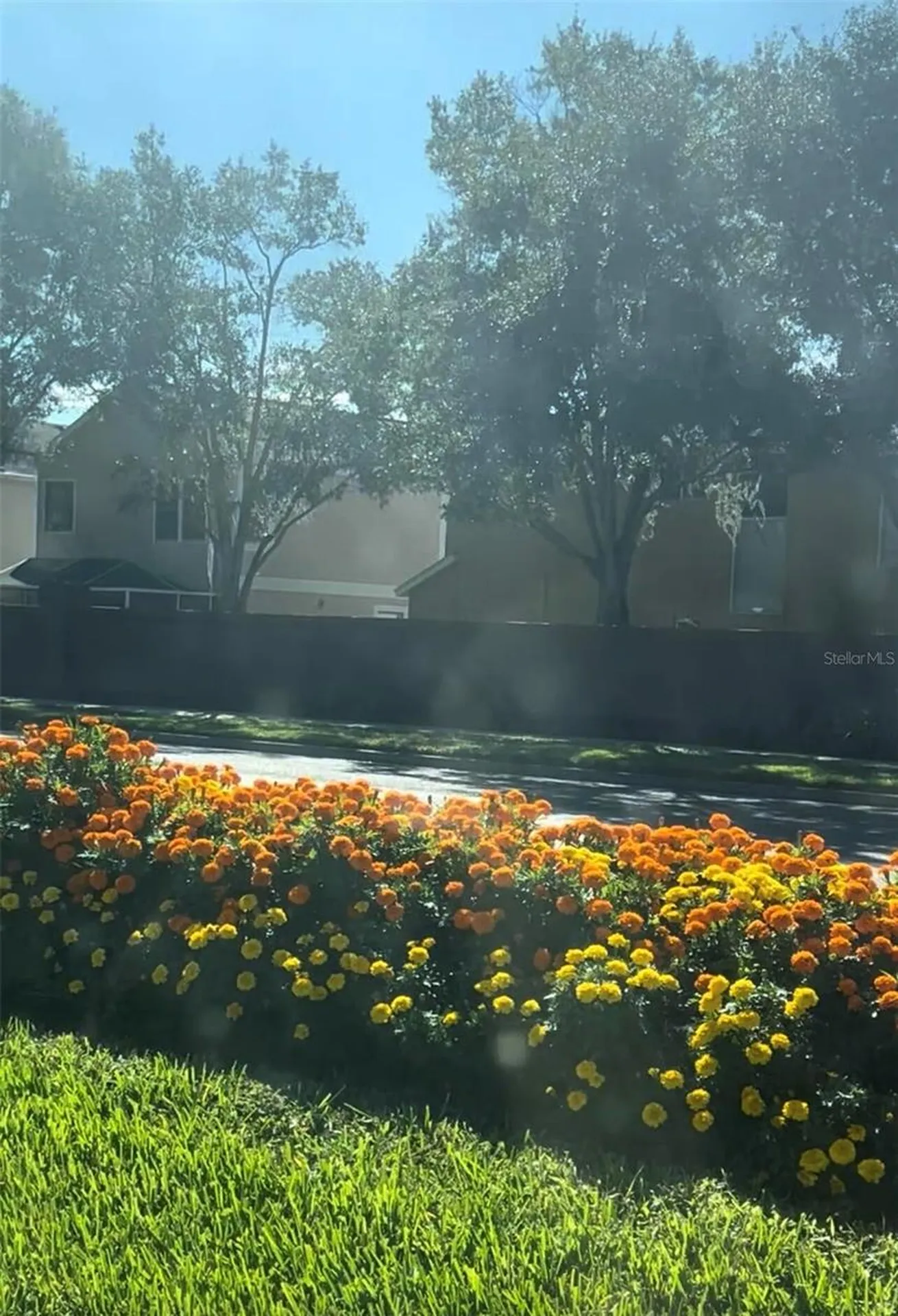 10508 Barnstable Court Tampa FL 33626