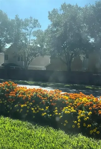 10508 Barnstable Court Tampa FL 33626