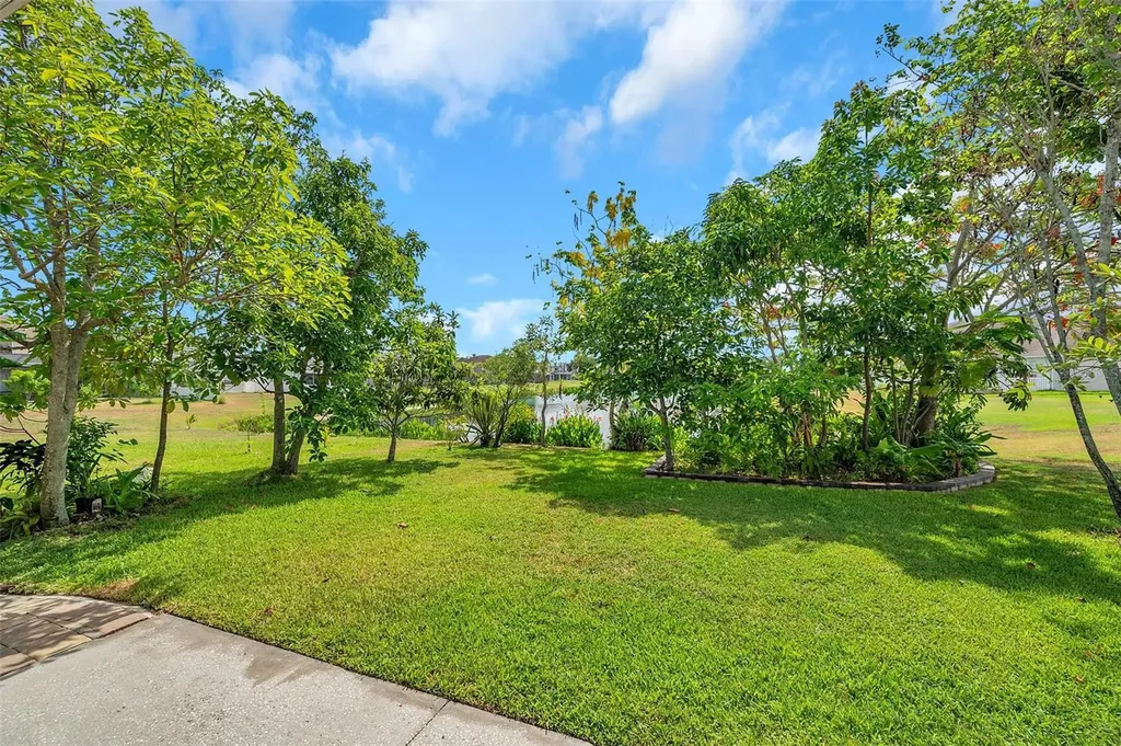 1915 Fruitridge Street Brandon FL 33510
