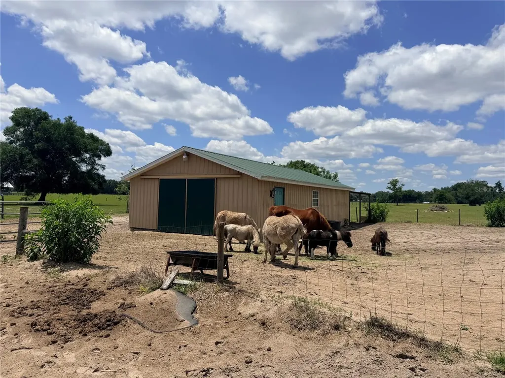 12764 County Road 223 Oxford FL 34484