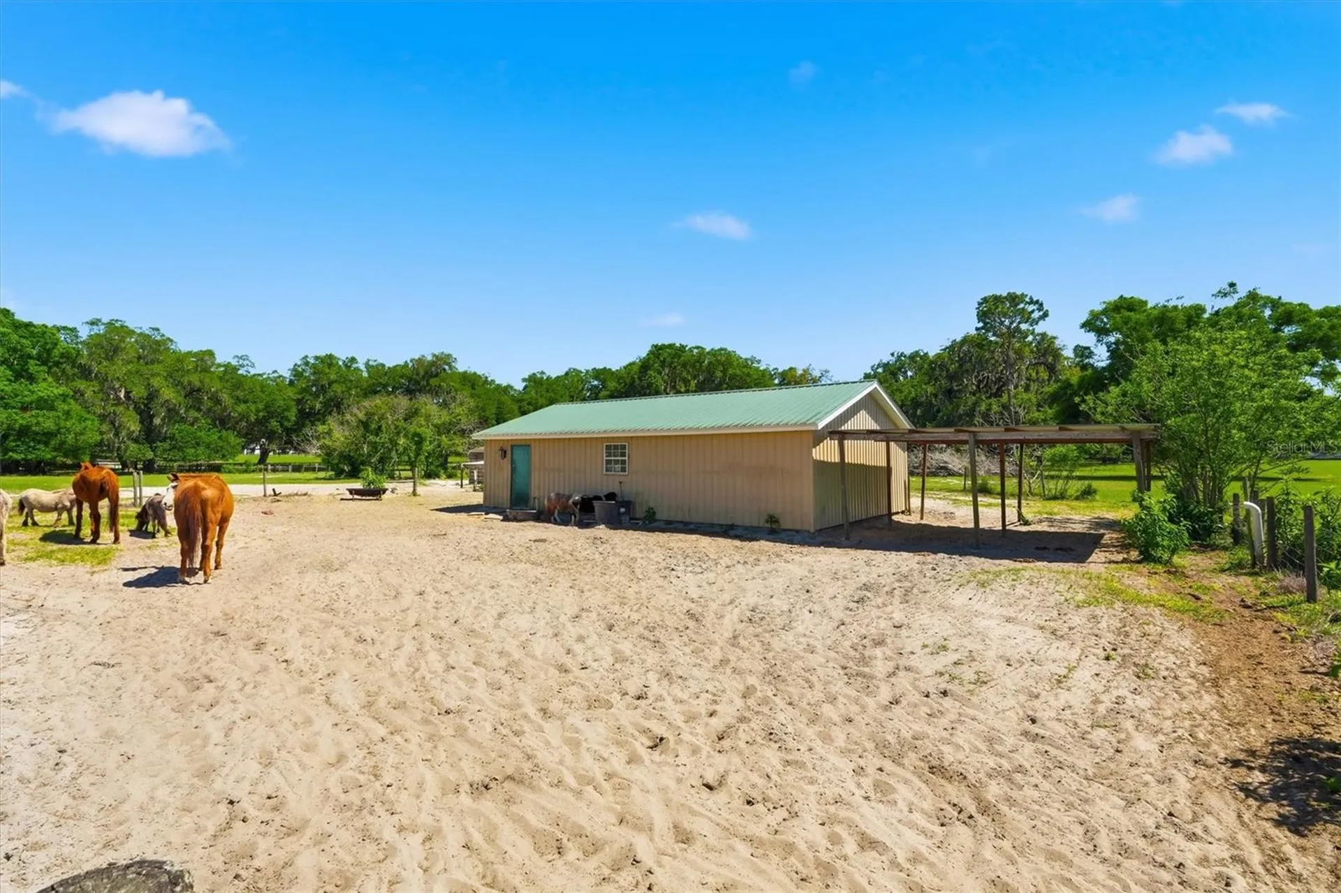 12764 County Road 223 Oxford FL 34484
