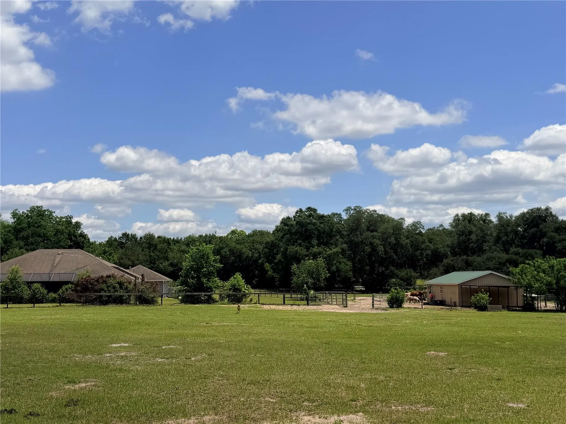 12764 County Road 223 Oxford FL 34484
