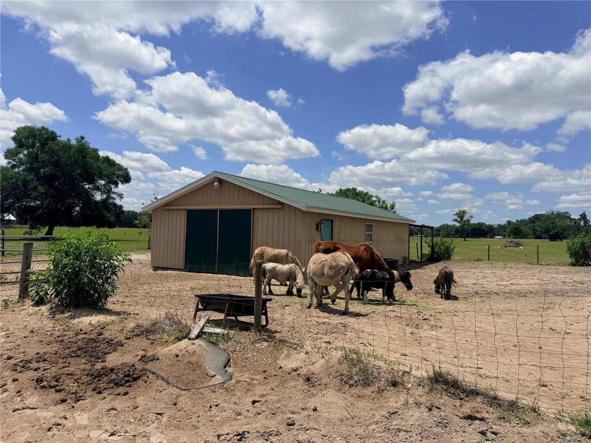 12764 County Road 223 Oxford FL 34484